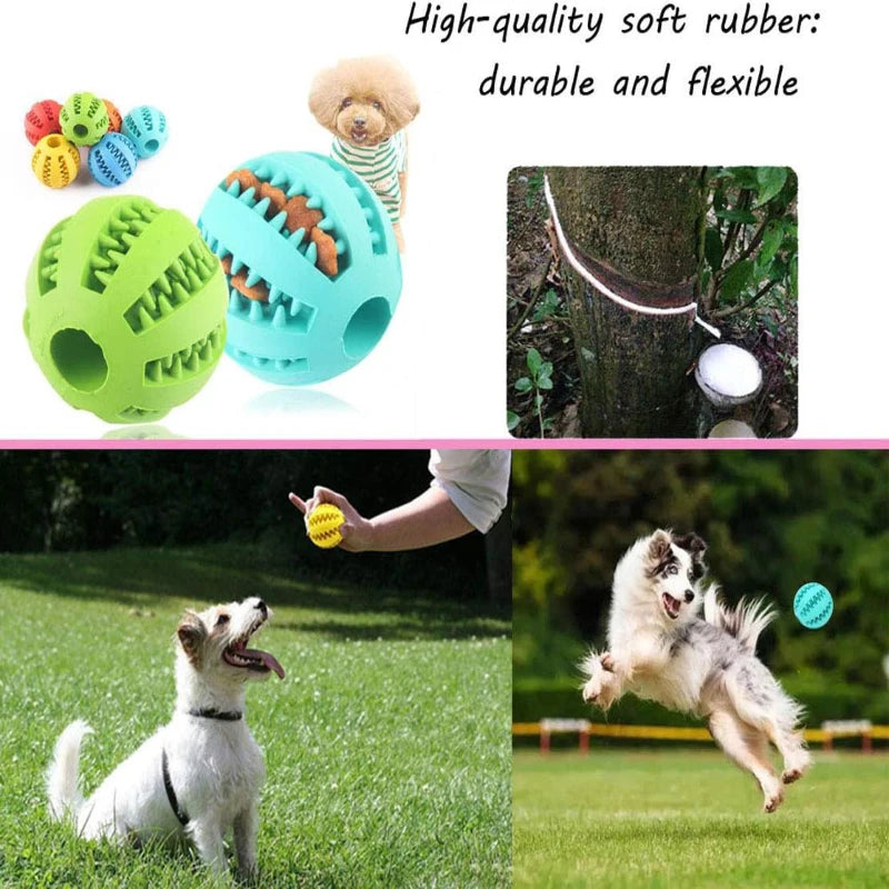 Interactive Chew & Treat Silicone Ball Toy
